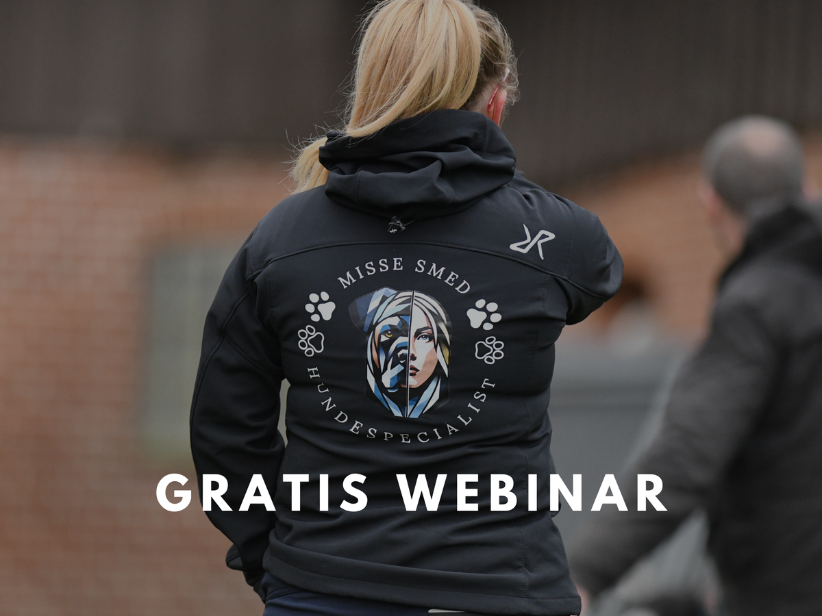 Gratis Webinar