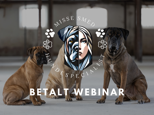 Betalende Webinar