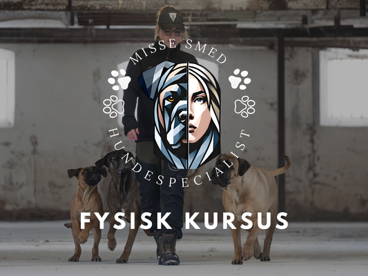 Fysisk Kursus